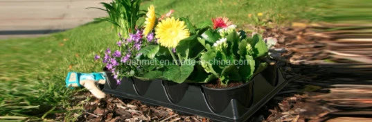 6pack Flower Planter Pot Carry Tray Shuttle Tray St165-6 (ST650-6)